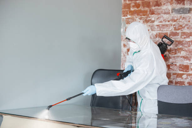 Best Mold Removal for HVAC Installations  in Red Lake Falls, MN